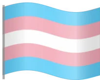 trans_flag